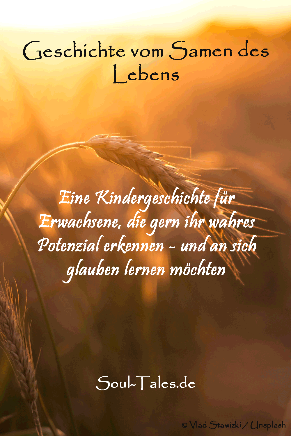 Diese Geschichte vom Samen des Lebens: für Kinder und Erwachsene hilft dir, dein wahres Potenzial zu erkennen und an dich zu glauben.