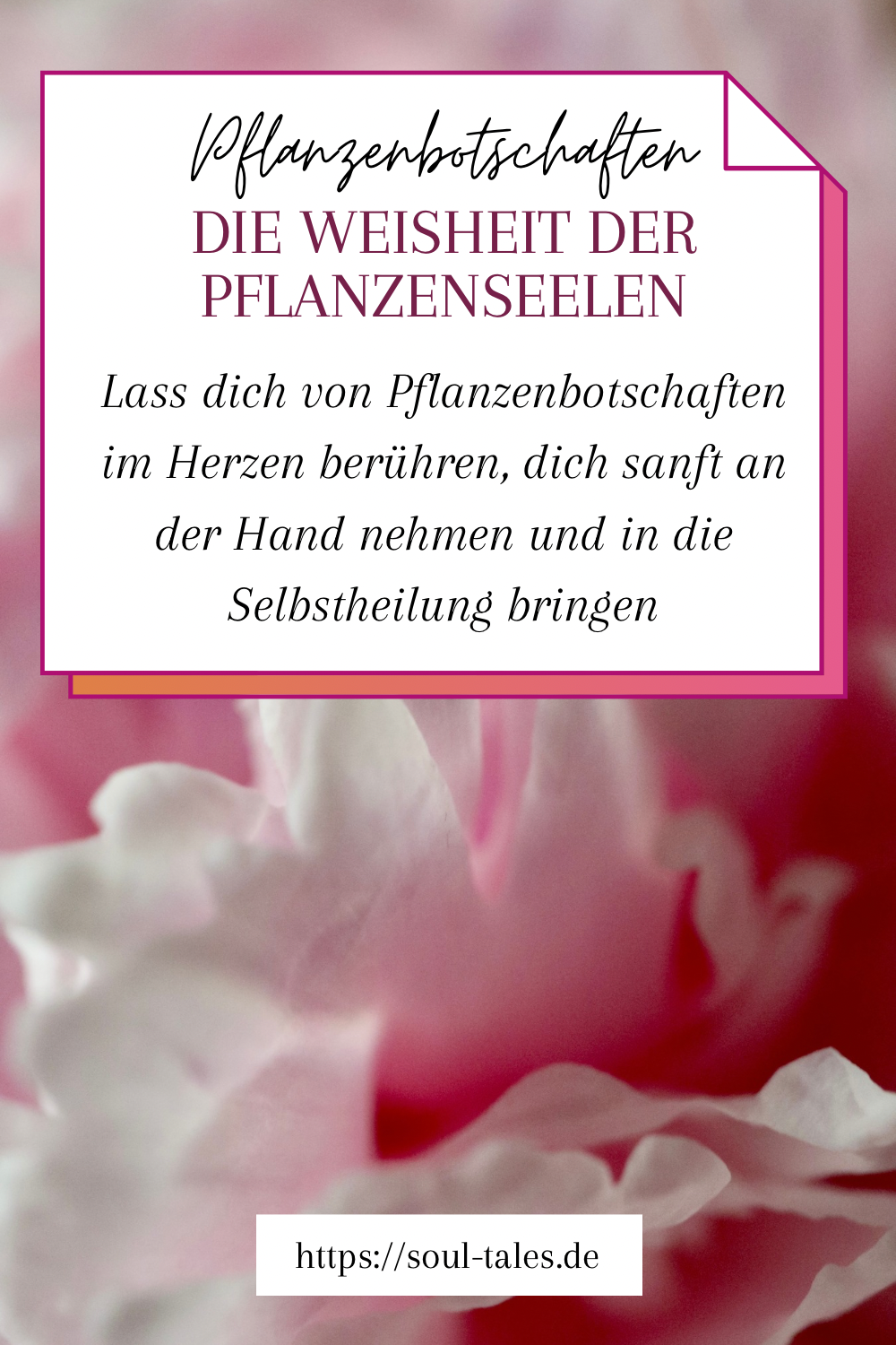 Pflanzenbotschaften für Körper und Seele